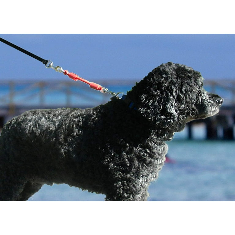 Jerk ease bungee dog leash hotsell