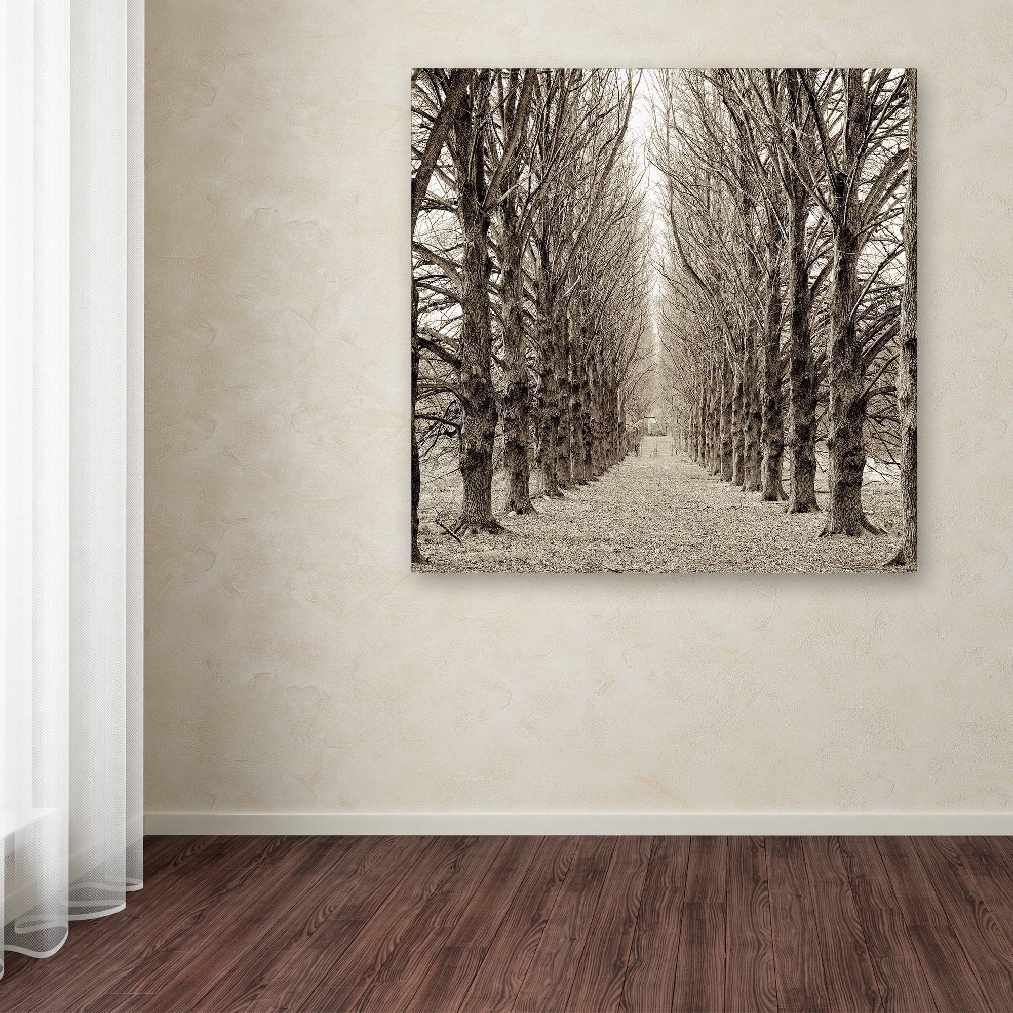 Trademark Fine Art "Hampton Gates Promenade III" Canvas Art by Alan Blaustein
