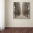 thumbnail image 3 of Trademark Fine Art "Hampton Gates Promenade III" Canvas Art by Alan Blaustein, 3 of 3