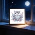 thumbnail image 1 of Diamond Rhinestone Art Kit, Complete Embroidery Craft With Numbered Canvas and Adhesive, for Home Wall Decoration, C, 1 of 5