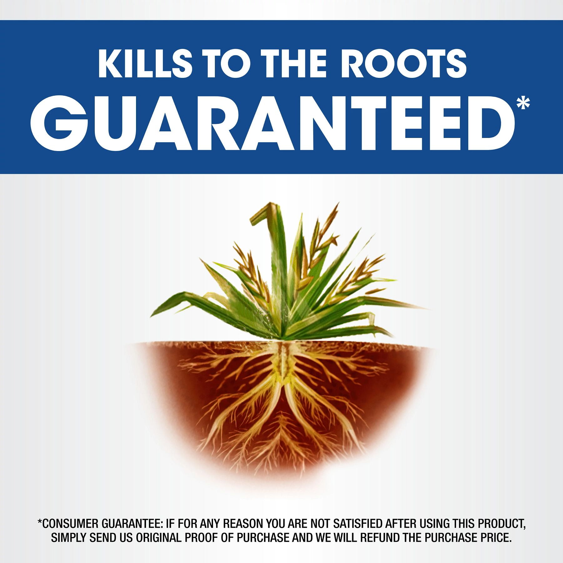 Roundup Weed & Grass Killer₄ Concentrate, Use In Flower Beds and other areas of your yard, 32 fl.oz.