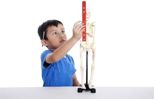 Set de 48 piezas de útiles escolares para niños y niñas, preescolar, jardín de infantes y primaria, que incluye lápices, marcadores, lápices de colores, borradores, papel de construcción, tijeras 3