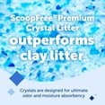 thumbnail image 2 of PetSafe ScoopFree Premium Fresh Crystal Cat Litter, Lightly Scented, 3 Packs of 8 lb bags, 2 of 7
