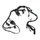 thumbnail image 1 of Arnes Electrico Honda Xr 190 L (21-24) 12V, 1 of 3