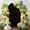 Black, variant on Solid Color Arch Backdrop Cover, 6FT, White Spandex Arch Covers Double-Sided Backdrop for Wedding Birthday Party Photo Background Decoration
