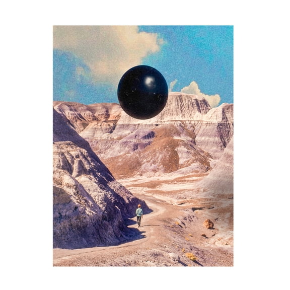 Trademark Fine Art spacerocket art  657 Canvas Wall Art