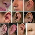 thumbnail image 6 of 5PCS Double Nose Hoop Ring 316L Conch Earring Helix Piercing Septum Nose Jewelry Surgical Steel Cartilage Earrings Nose Clicker Rings Rook Tragus Lobe Lip Piercing Jewelry 6 to 12 mm, 6 of 7