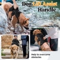 thumbnail image 3 of Arnés para perros Rabbitgoo Escape Proof Full Body XL, 3 of 8