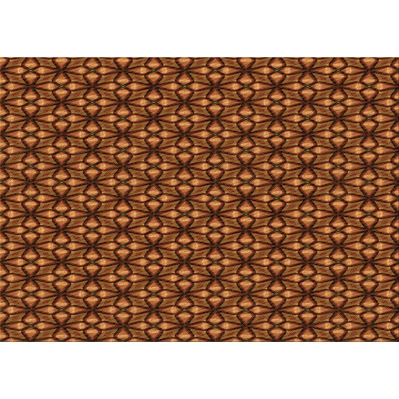 Ahgly Company Indoor Rectangle Patterned Papaya Orange Area Rugs, 2' x 4'