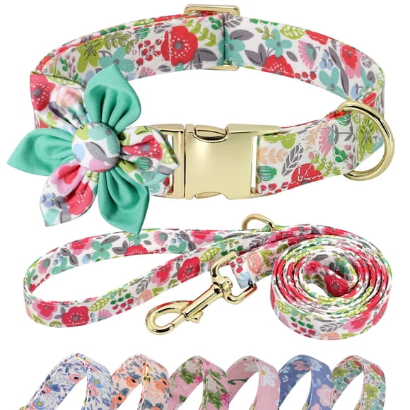 Conjunto de collar y correa para perro Beirui Cute Girl Floral Green L