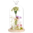 thumbnail image 2 of 1 pc Glass Dome Cover Decorative Display Case Cloche Bell Jar Terrarium with Wood Base Bird 122x230mm, 2 of 5