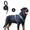 Blue, variant on Levviye Dog Harness & Leash Set Reflective Adjustable Pet Vest with Foam Handle Durable Rope for Dogs Walking Training, Khaki L