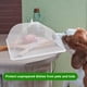 thumbnail image 5 of Paquete de 8 Cubiertas Plegables para Comida de Picnic con Malla, 5 of 9