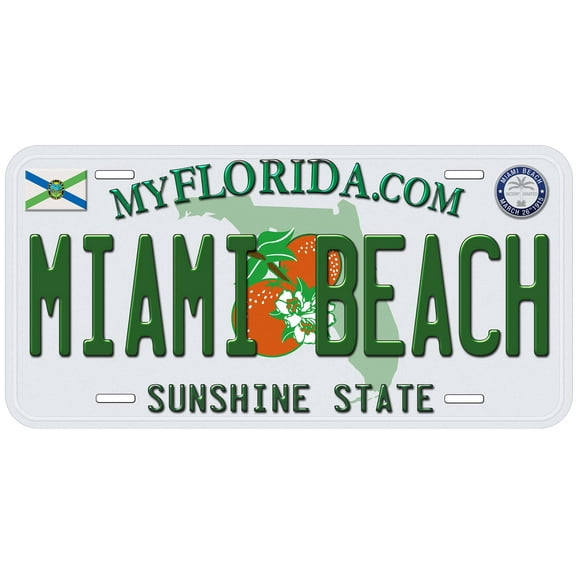 Miami Beach FL TAG08 Novelty Car Auto License Plate