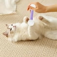 thumbnail image 4 of Interactive Cat Toy Set with Soft Teething Chew Sticks for Indoor, 4 of 4
