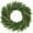 22 Inch, variant on Guvpev 22" Artificial Norfolk Pine Wreath - Real Touch Pine Needles Christmas Wreaths for Front Door - Realistic Winter Pine Wreath - Green Faux Greenery Xmas Wreaths for Indoor Outdoor Home Decor