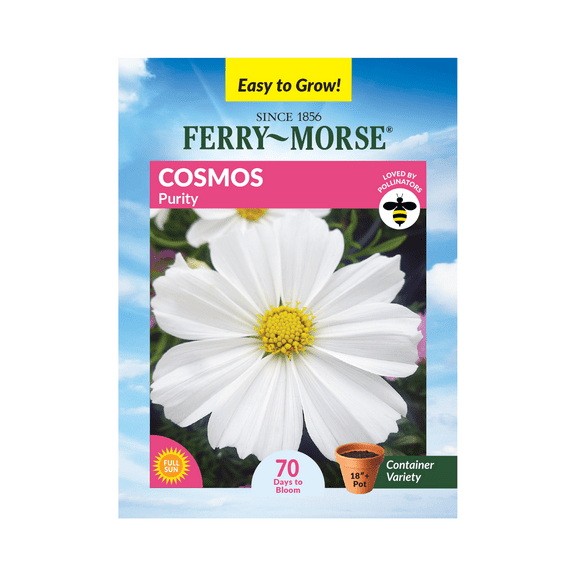 Ferry-Morse 300MG Cosmos Purity Annual Flower Seeds, Full Sun