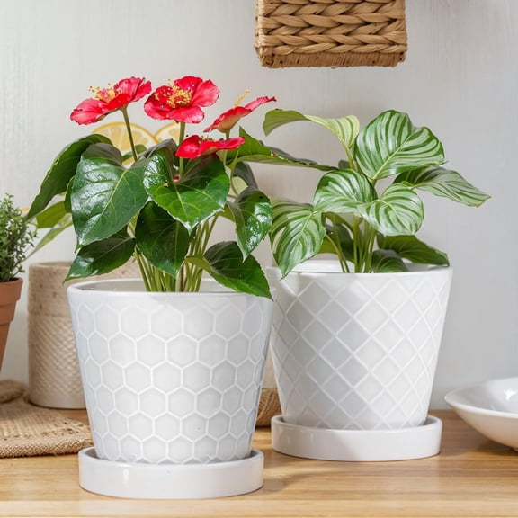 Ceramic Plant Pots, 6 Inch Pots for Indoor Plants, Planters with Drainage Hole and Saucer, Flower Pots Desktop Office Windowsill Decoration Gift Set of 2 - White