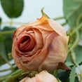 thumbnail image 4 of Artificial Flower Branch 21" Fake Silk Plant for Home Vase Wedding Hotel Decor Table Centerpiece,Khaki, 4 of 9