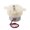 E, variant on Plastic Gearboxes Gear Motor Small 300 Gear Motor High Torques Slow Speed Small Electric Motor Gearboxes Reduction Motor