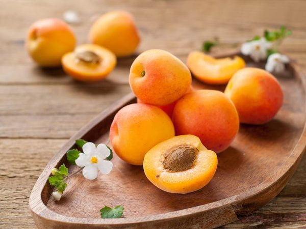 FirstChoiceCandy Dried Apricots - 2 Pound