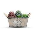 thumbnail image 6 of Dengjunhu Flower Plant Pots Plant Basket Indoor Outdoor Planters, Retro Iron Containers for Succulent Plant, 6 of 7