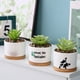 thumbnail image 5 of Funny Unique Succulent Pots Ceramic Fleshy Flowerpot Tray Indoor Desktop Bonsai Decoration Optional, 5 of 9