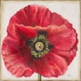 thumbnail image 2 of Red Poppy Poster Print by Patricia Pinto (12 x 12), 2 of 2