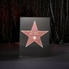 5 ft. Hollywood Walk of Fame Record Standee