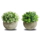 thumbnail image 2 of Bonsái de planta simulada, 2 piezas de planta simulada en maceta, decoración de escritorio, bonsái simulado magistralmente creado, 2 of 9