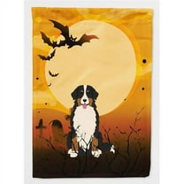 Carolines Treasures BB4302GF Halloween Bernese Mountain Dog Flag Garden Size