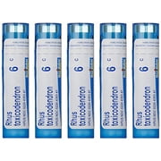 Boiron Rhus Toxicodendron 6C, 5-Pack of 80 Pellet Tubes, Homeopathic Medicine for Joint Pain,