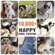 thumbnail image 4 of DOGCARE PC02 Dog Clipper Or Blade Haircut Professional Pet Dog Hair Clipper Cutting Machine Trimmer Low Noise Grooming Tools ShopWise Round, 4 of 12
