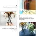 Axio Creative Air Plant Display Stand Iron Plant Holder Container
