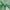 Green/White-PP28, variant on Aonewoe Outdoor Rug 6x9 Waterproof Patio Rug Reversible Plastic Straw Rug Indoor Outdoor Area Rugs Camping Carpet for RV, Picnic, Backyard, Deck, Balcony, Porch, Beach, Brown & Black