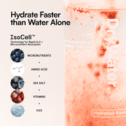 DryWater Hydration Powder, Mixed Berry, 6 Pack