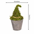 thumbnail image 3 of Mskk Miniature Artificial Witch Hat Plant Halloween Decoration - Vintage Potted Plant Accessory Desktop Resin Ornament for Halloween Party Decor, 3 of 9