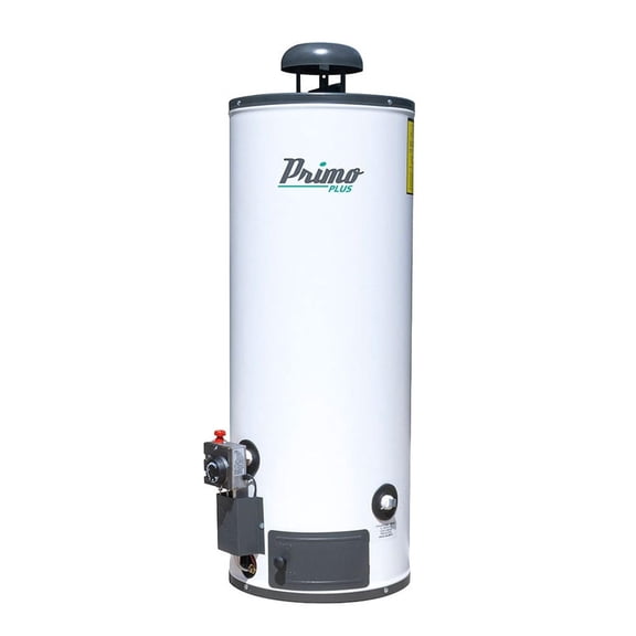 Calentador de Depósito Primo Plus IUSA Piezoeléctrico 60 L Gas LP blanco