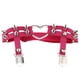 thumbnail image 1 of Jumpingount Arnés de cuero de imitación de corazón Harajuku para mujer Accesorios de disfraces Rosa roja Jumpingount FS5474-12, 1 of 6