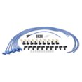 thumbnail image 2 of ACCEL Ignition 4041B Spark Plug Wire Set, 2 of 5