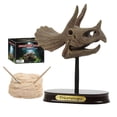 thumbnail image 1 of Dinosaur Skeleton Model Kit Plastic Dinosaur Dig Kit Dinosaur Fossil Kit for Kid, 1 of 10