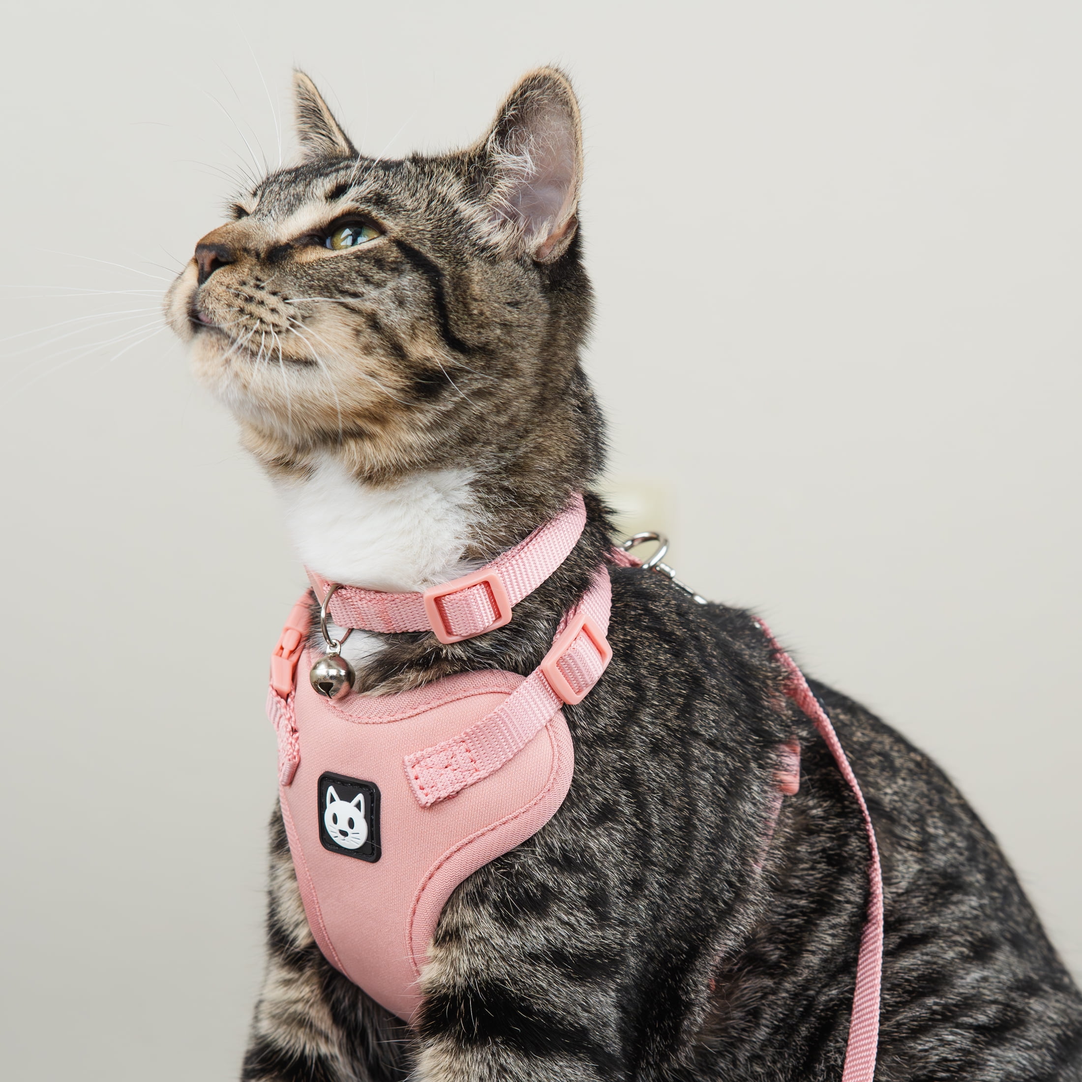 Vibrant Life Solid Blush Cat Harness and Leash Set, One Size Fits Most