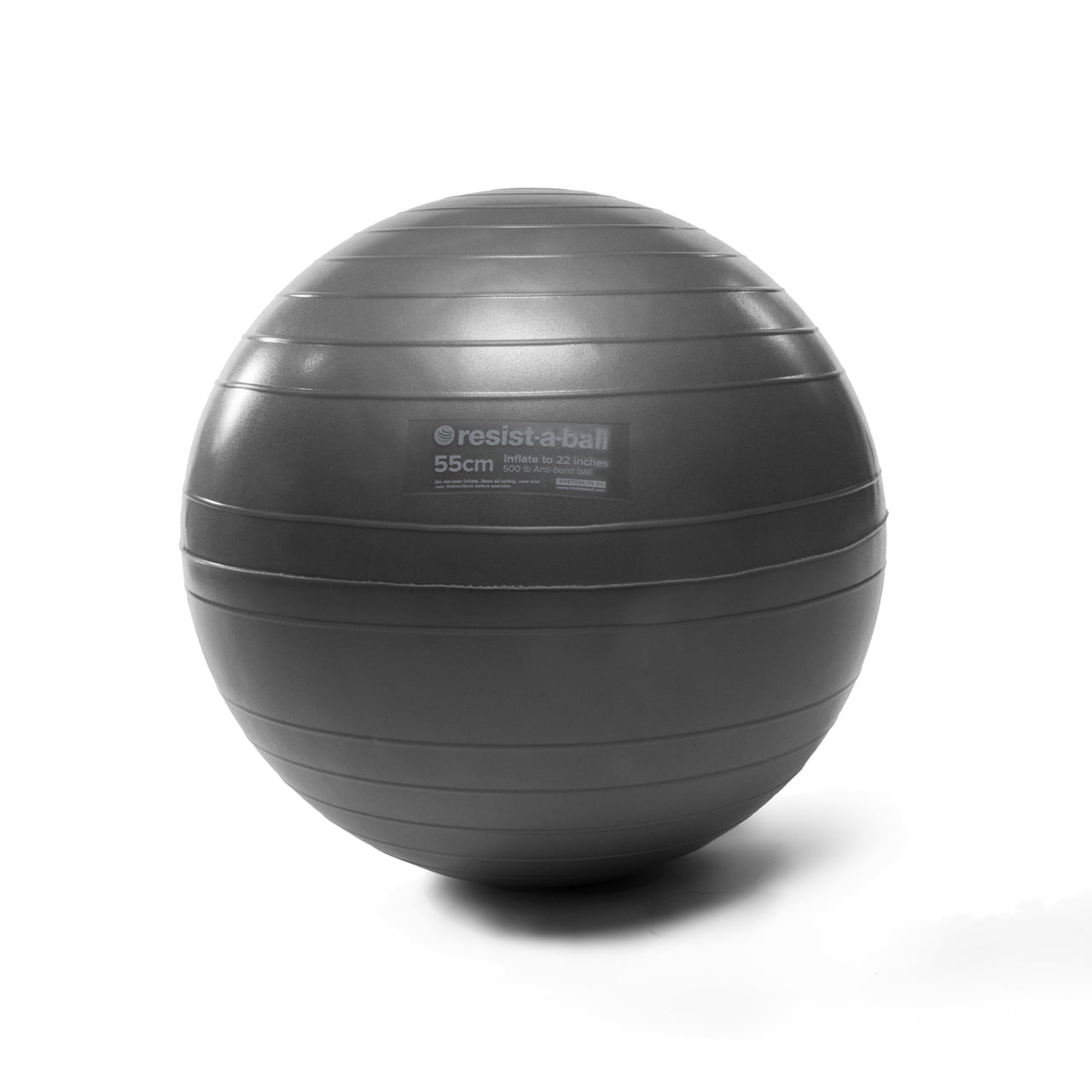 maximum load up to 500kg Gym Ball incl Pump 55 cm Silver 