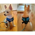 thumbnail image 2 of Cat Harness and Leash for Walking, Escape Proof Soft Adjustable Vest Harnesses for Cats, Easy Control Reflective Strips Breathable Mesh Jacket, 2 of 7