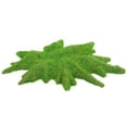 thumbnail image 2 of Reptile Terrarium Artificial Landscape Simulation Lawn Pet Cage Decoration, 2 of 5