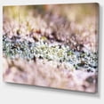 thumbnail image 2 of Petites Fleurs Blanches et Roses - Grande Impression sur Toile, 2 of 3