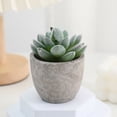 thumbnail image 4 of Artificial Potted Plants for Home Decor – Realistic Fake Plastic Flower Arrangements with White Pots for Indoor Spaces, 4 of 5