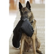 Image Entertainment - Step Dogs [DIGITAL VIDEO DISC]
