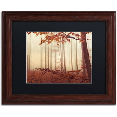 Trademark Fine Art "The Last of Fall" Canvas Art by Philippe Sainte-Laudy Black Matte, Wood Frame