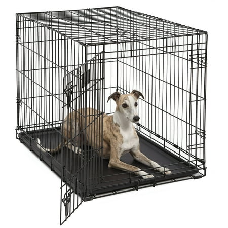 Midwest Life Stages Single-Door Folding Metal Dog Crate, 36 inches by 24 inches by 27 inches